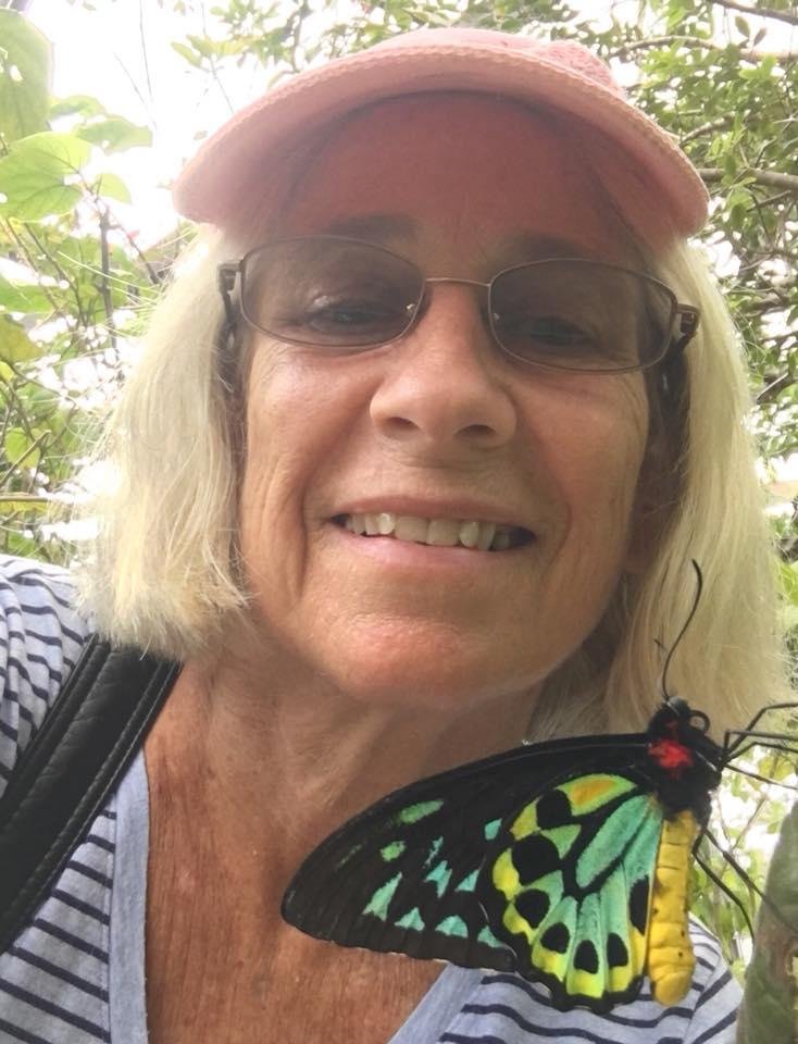 Nancy Lahn's album, Mobile Uploads