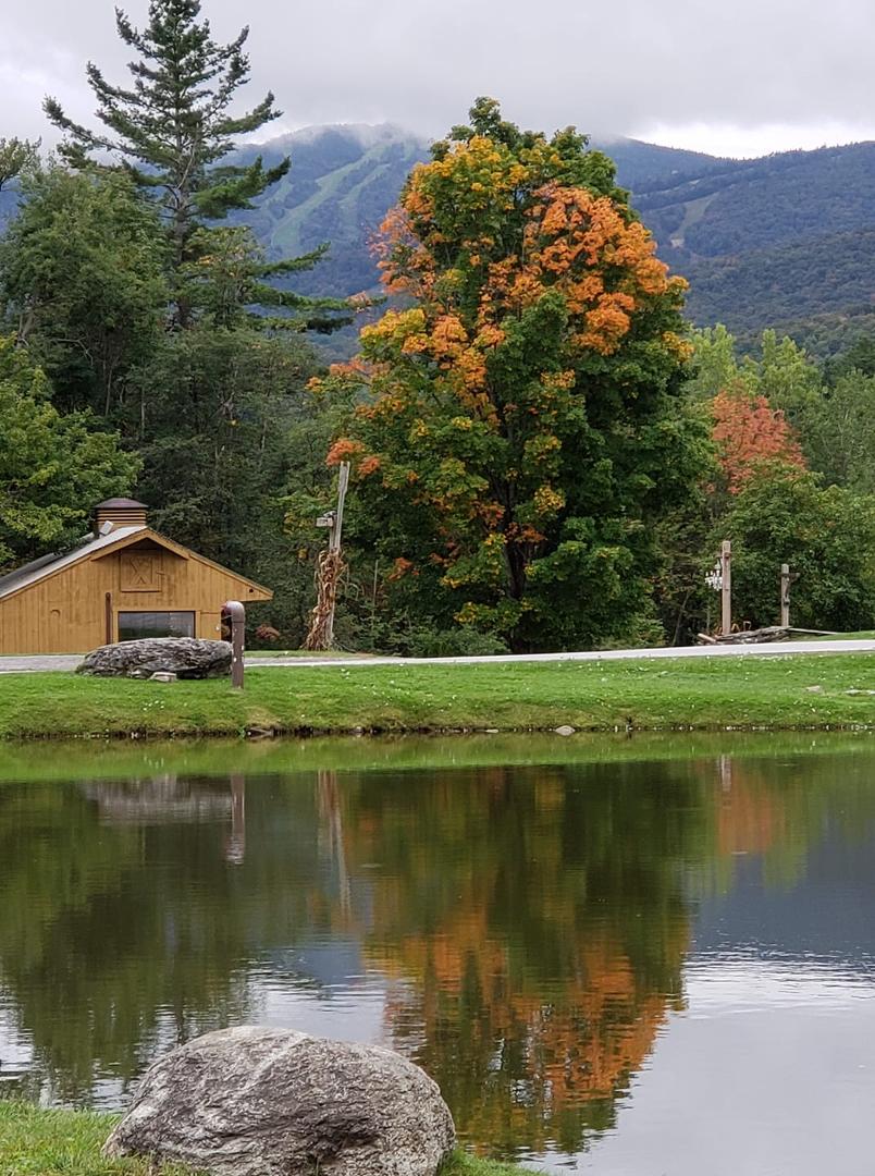 Killington, Vermont one of my favorite places. Here's to the Fall.