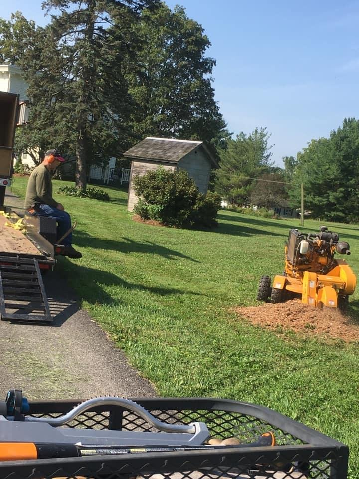 Skip McCagg grinding stump in our yard