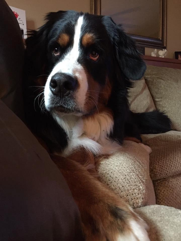 My Willow B!