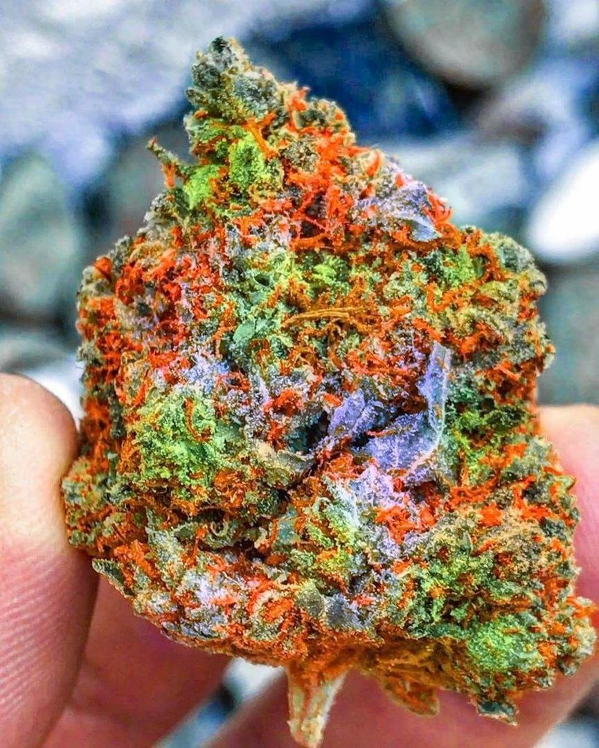 God's gift to man!!