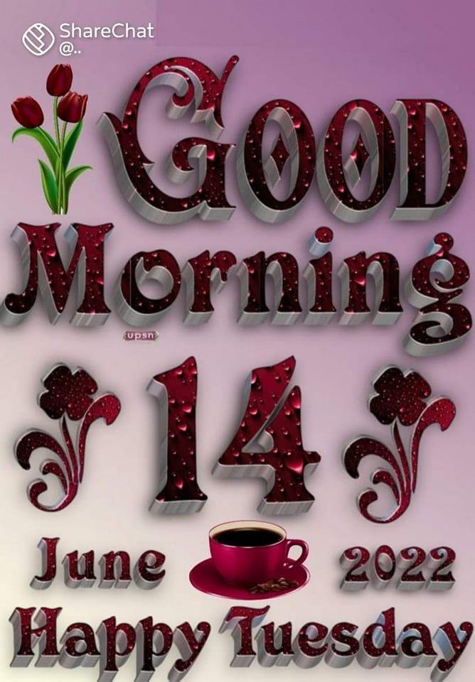 Laura Jones' album, Timeline photos