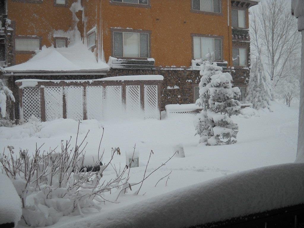 Barb Williamson's album, Timeline Photos