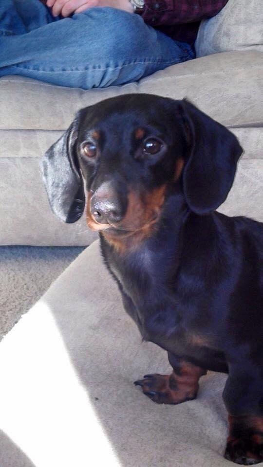 If he could just answer the phone - Face time revitalized