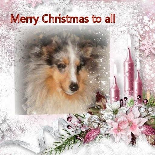 Carol Nielsen's album, Timeline Photos