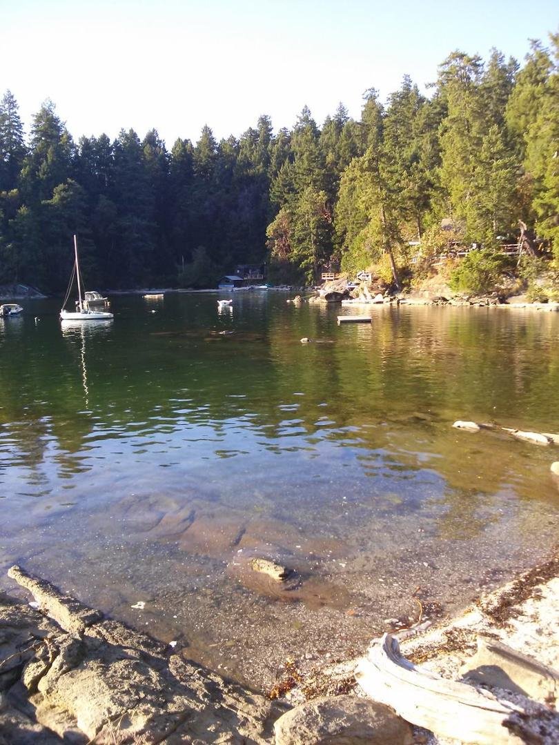Another great day in the Gulf Islands. Was swimming for about 75 minutes. Water temp about 17/18c.