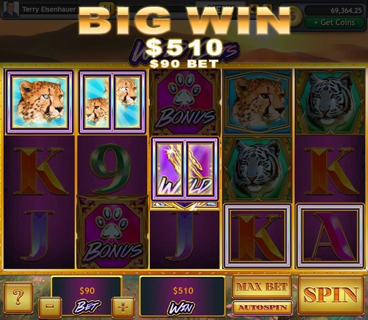 Terry Eisenhauer's album, Lucky Slots Photos