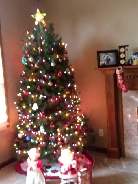 My Christmas tree this year