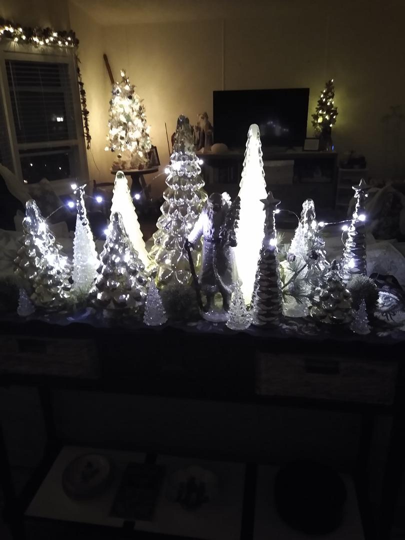 Christmas in Florida...