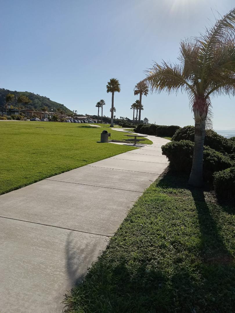 The view on our morning walk.