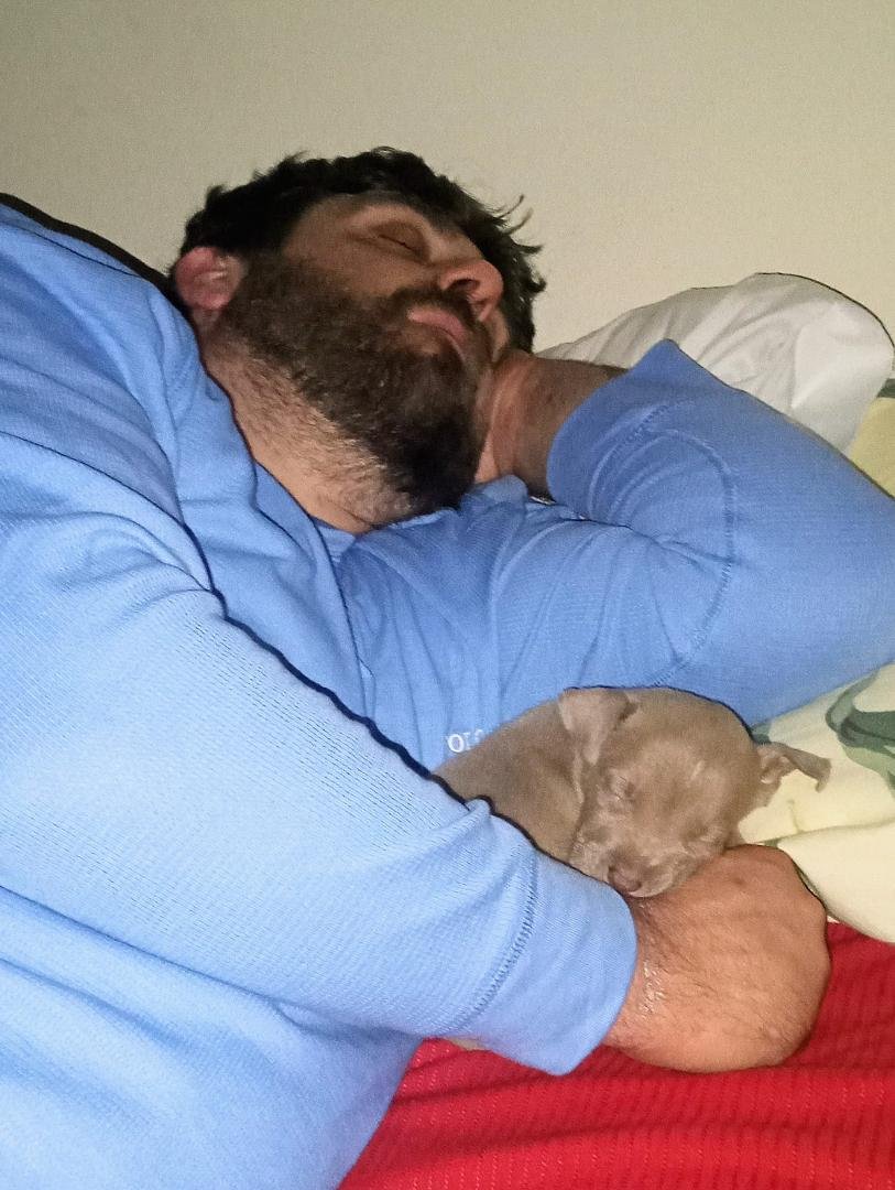 My precious baby snuggled up to her daddy when I got home from taking Mal Mal to school this morning!! ♥️♥️ I swear she's the cutest puppy in the whole world! 🎀🐾Miss Memphis Averette ♥️♥️♥️♥️ Jeff Averette