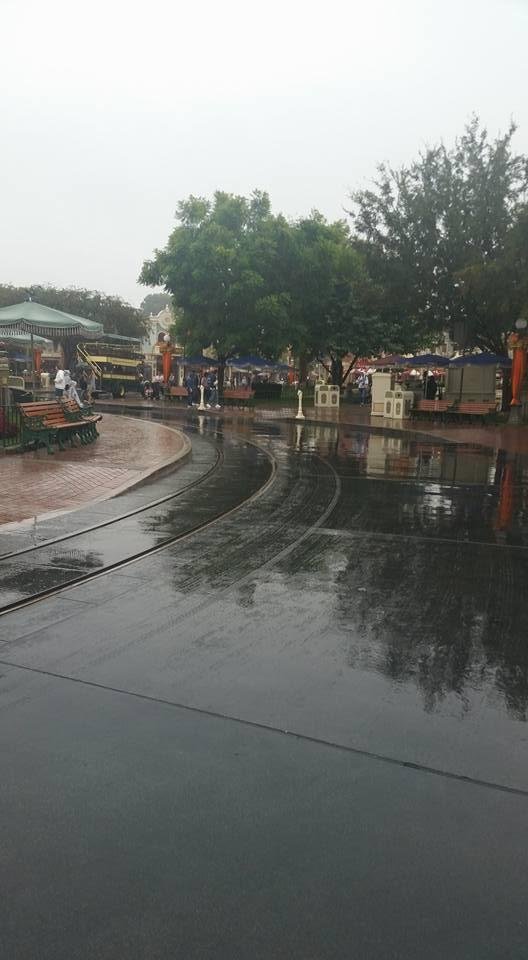 Little damp.. buy no lines!