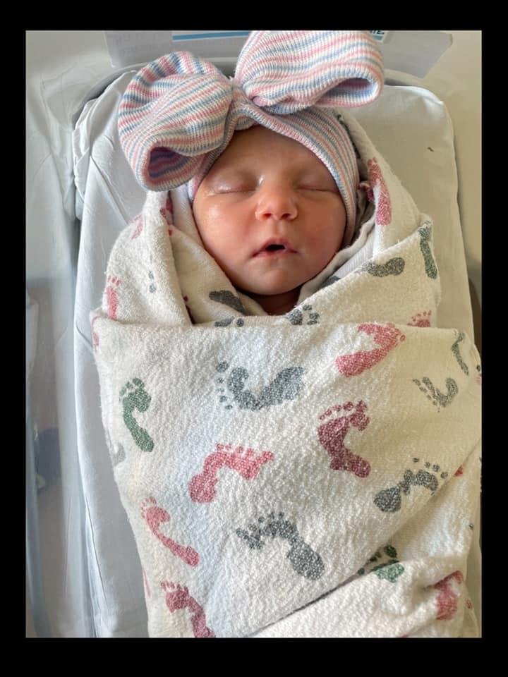 6lbs 8oz. 19in