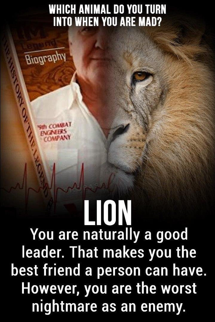 Which Animal Do You Turn Into When You Are Mad?