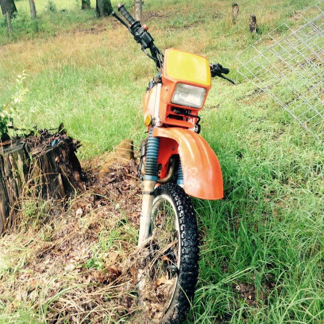 Chris Scott's album, iOS Photos