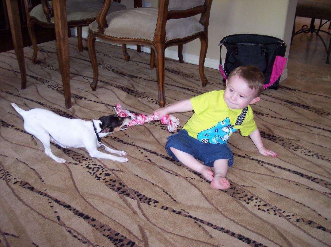 Great picture of our grandson, Cole playing with our dog, Cali.
