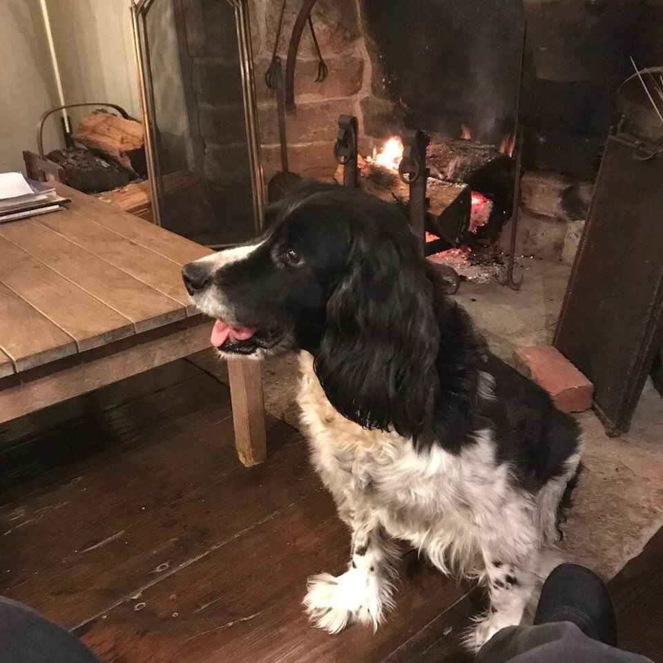 Miss my fire in Florida...this was fishers in late October! And of course 16 year old Inca!
