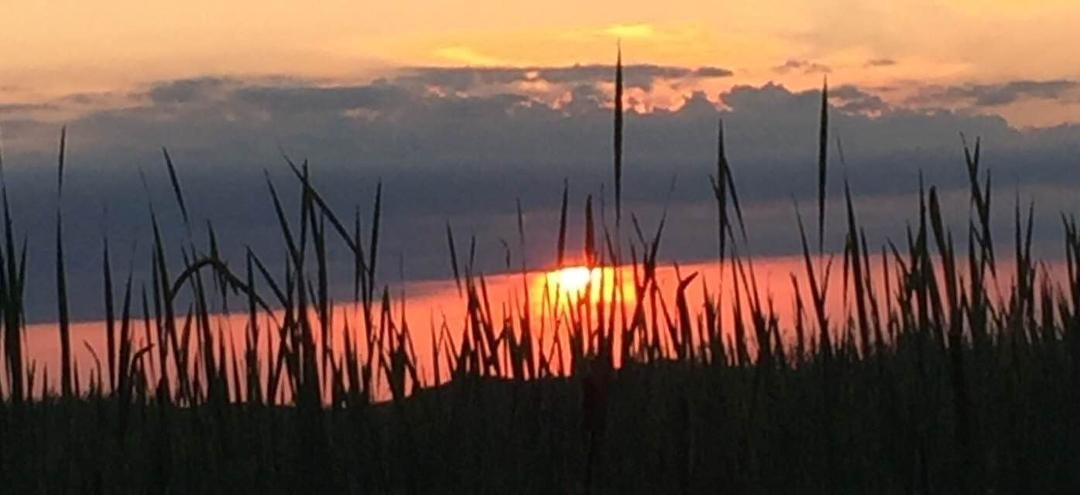 The last rays of summer.
