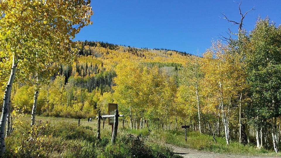 Today on the Grand Mesa. A great day out.