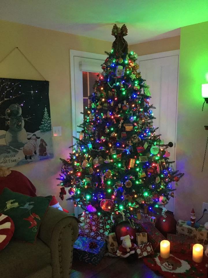 Susie's 2016 Christmas Tree, 7' Tall, 350 Lights and 226 Ornaments.