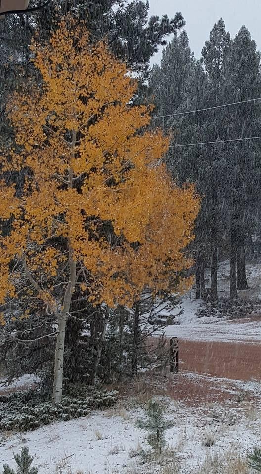 First snow! Phew, I made it here just in time!! Wood stove is cracklin' and putting out good heat! Life is good!
