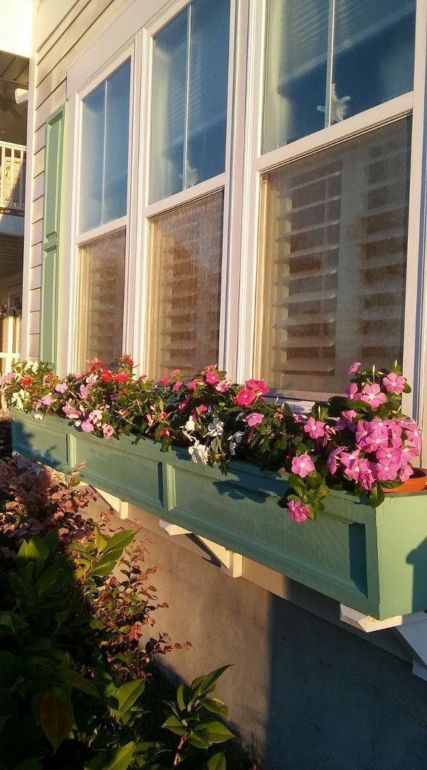 Vinca's line the window box now. They say they like a lot of sun which we get!