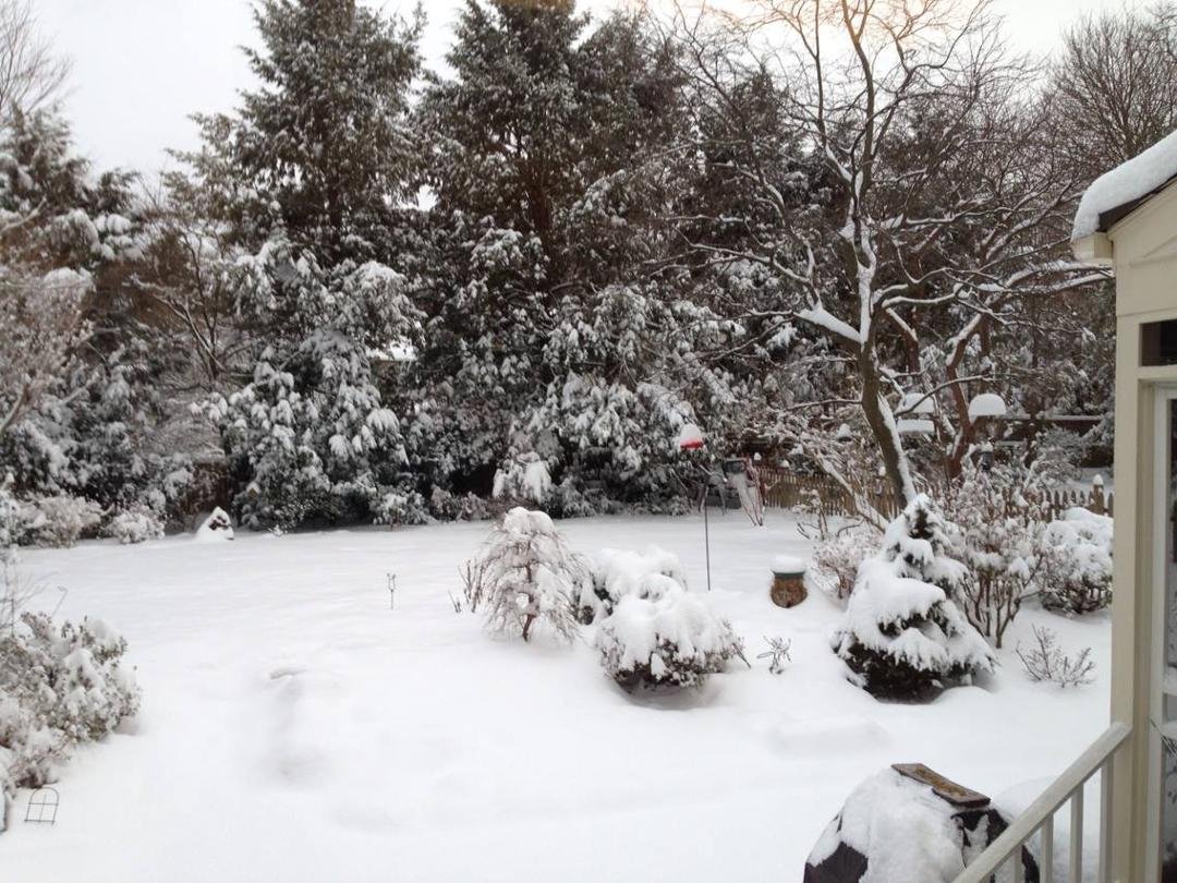 From our kitchen window, 8 AM Snopatrick's Day ...