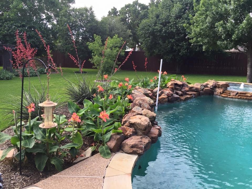 Kelly your flowers are in full bloom behind the pool.