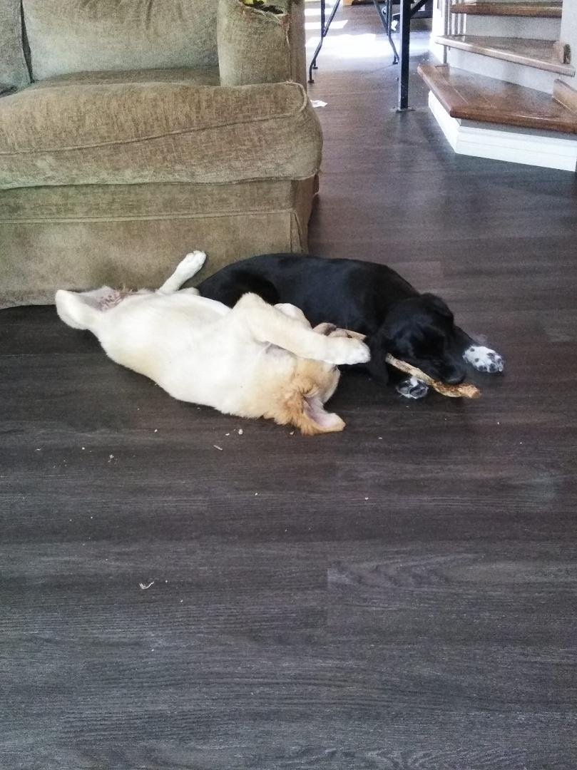 Six months old now.