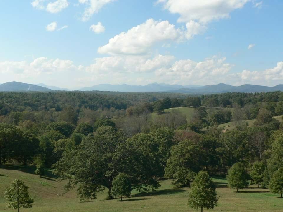 Still looking for Fall foliage in Asheville NC.