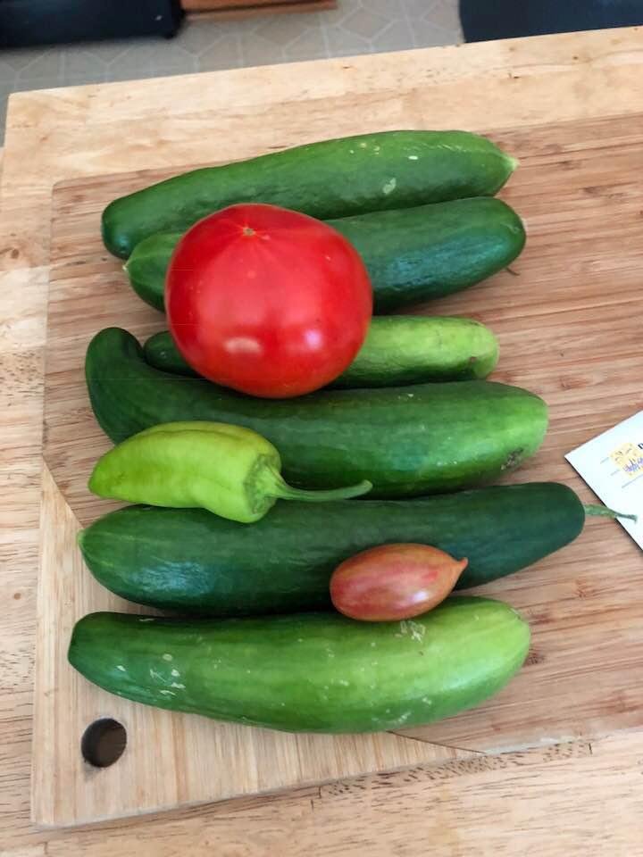 Some goodies from my garden.
