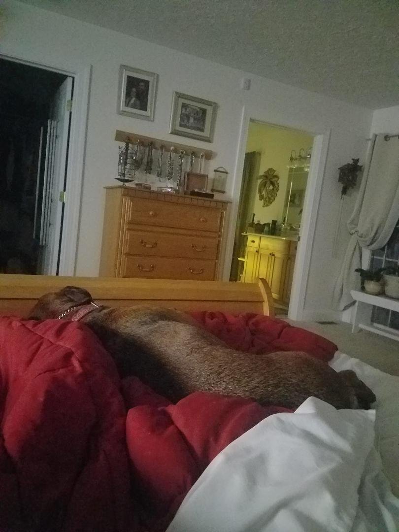 I think Larry has lost his side of the bed.