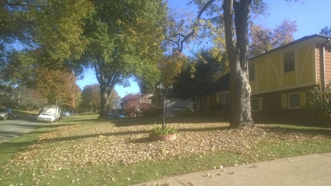 Front yard is done for today, backyard tomorrow, then back to the front yard. I lose several battles, but I will eventually win the war.