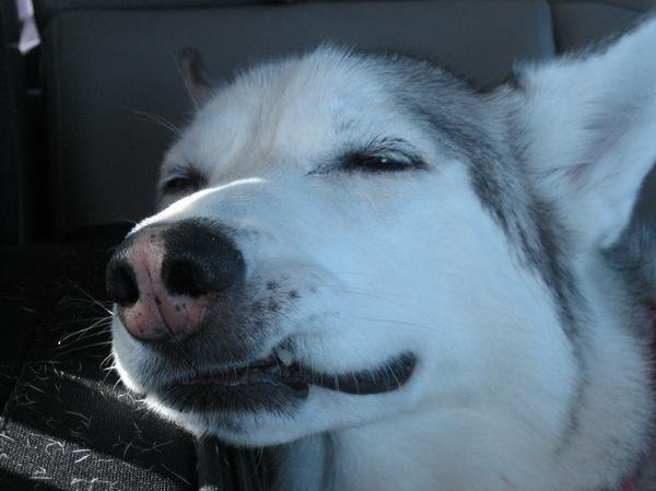 Storm getting her Elvis on.