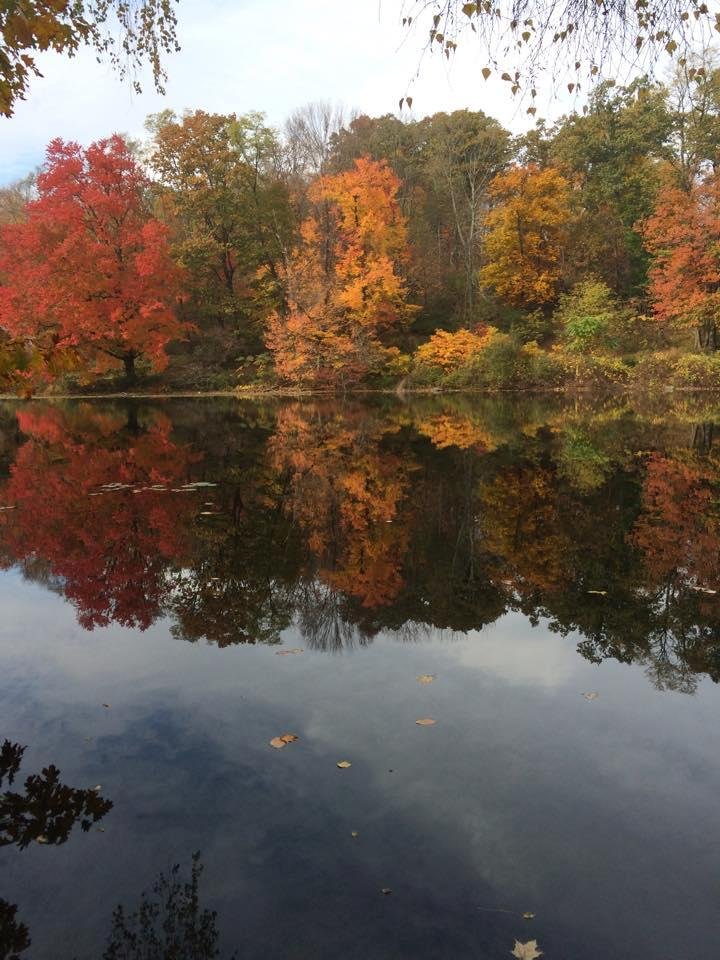 This morning in Sleepy Hollow, New York: ORANGE WEDNESDAY. We can do this.