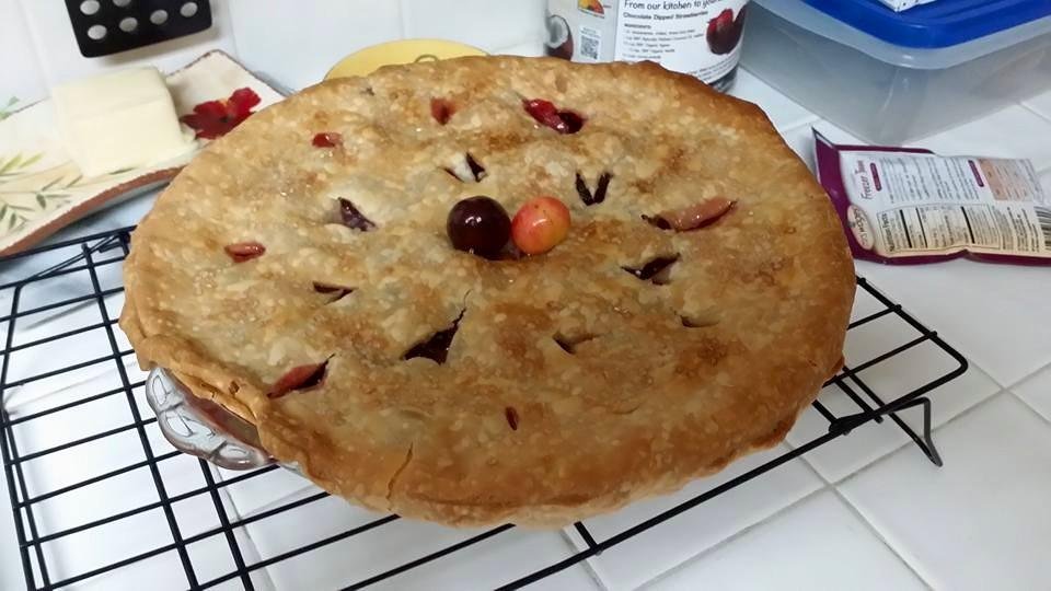 Last night Sylvia made a tasty Cherry Pie from the 10+ lbs of cherries we picked from the our cherry trees.