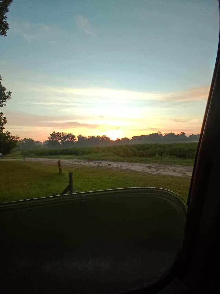 Paula Moore's album, Mobile uploads