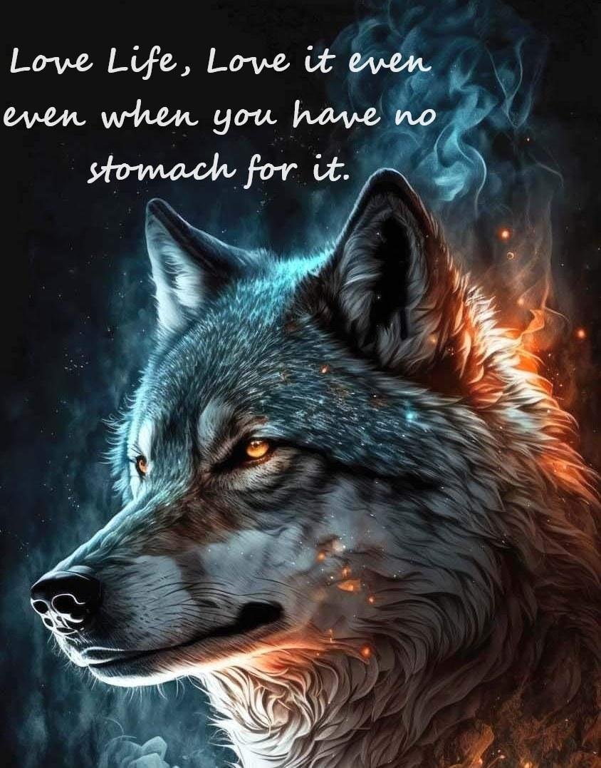 Duane Holman's album, Timeline photos