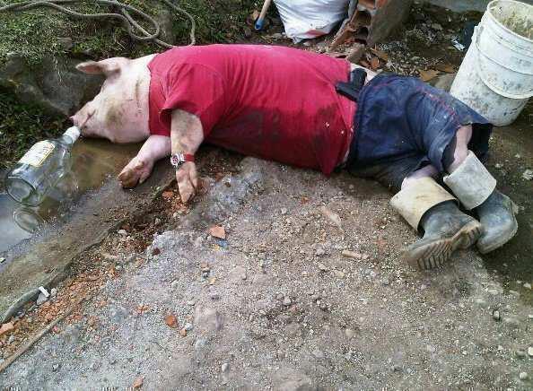 i told dem pigs they cant keep up wit the big boyz.