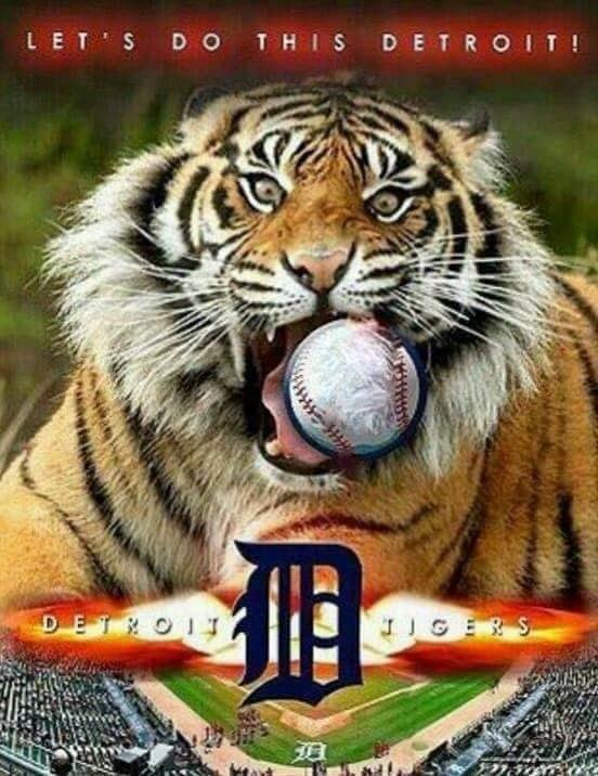 Go Tigers!!!