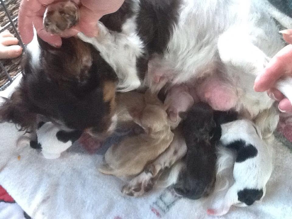 12hours old