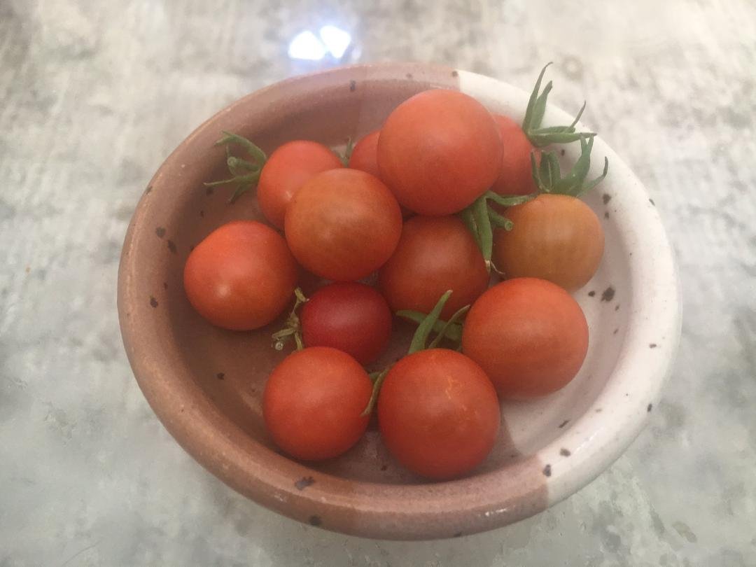 The first fruits of labor! Yummy!!