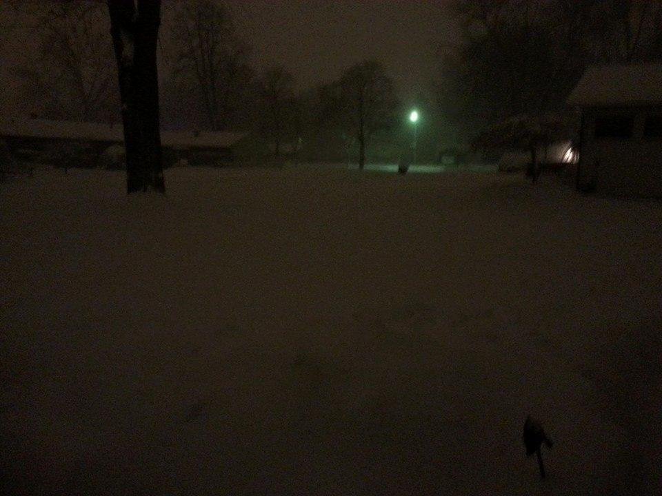Our front yard