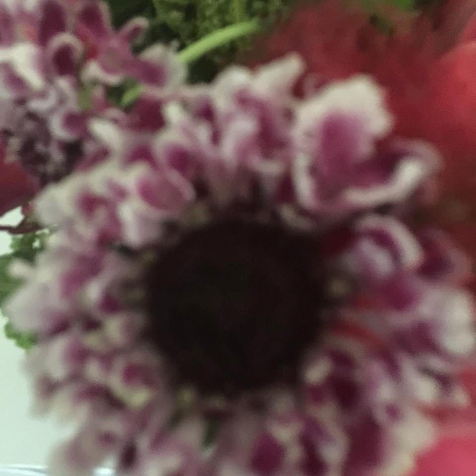 Julia Owens' album, Mobile Uploads
