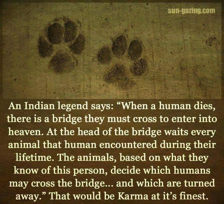 This is wonderful.