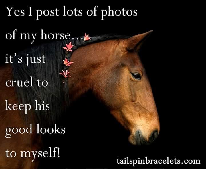 Nancy McKay's album, Mobile Uploads