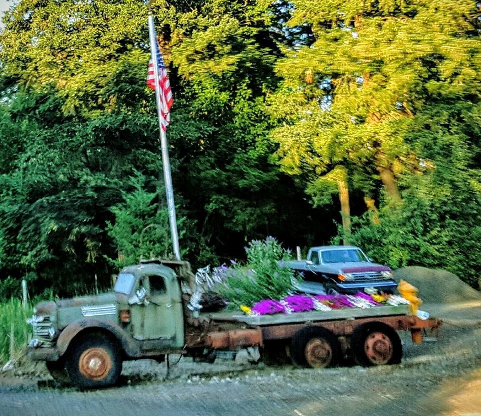 Happy 4th of July !!!
Somewhere in Clackamas County Oregon