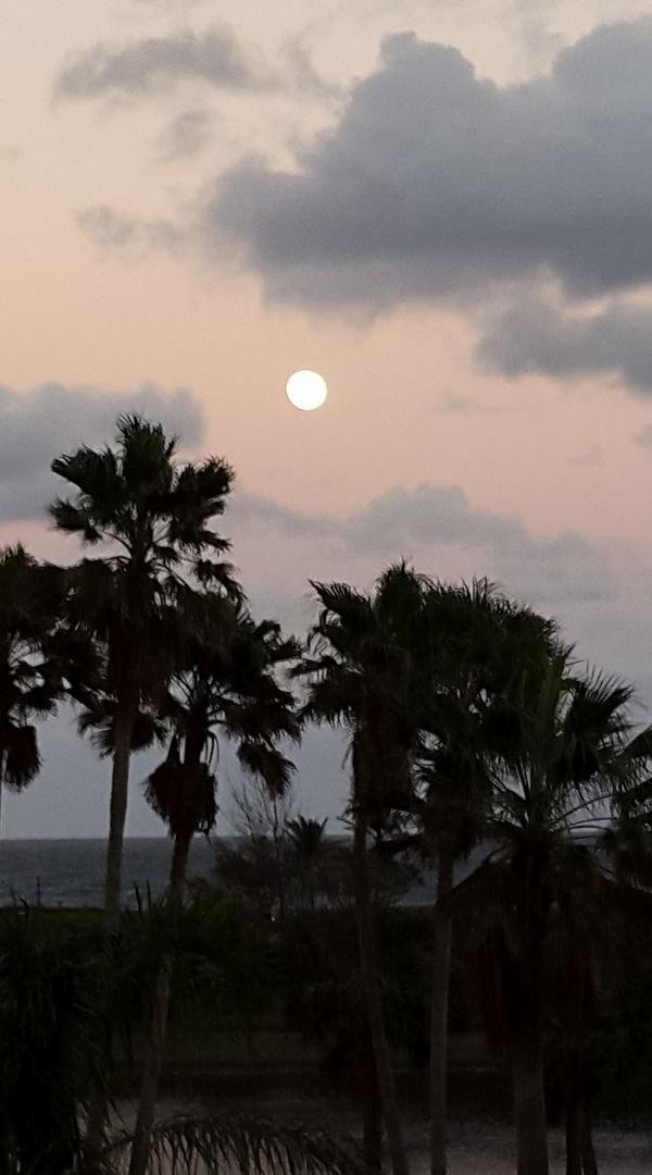 Moon over Jupiter. Full Moon tomorrow night