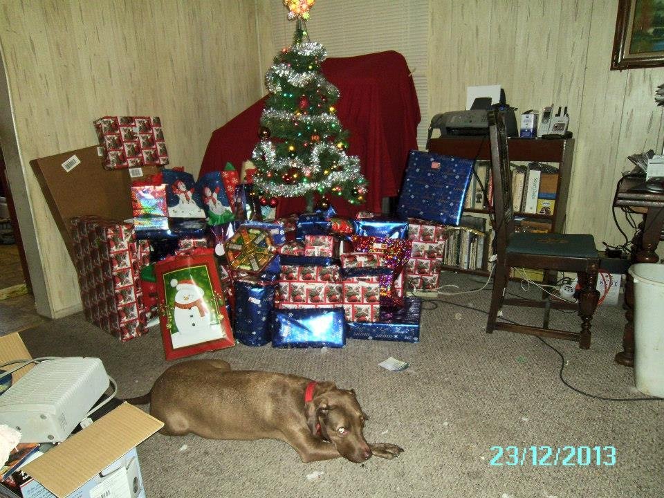 Gaurding the Presents.....