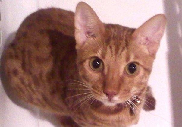 Look deep into my eyes.